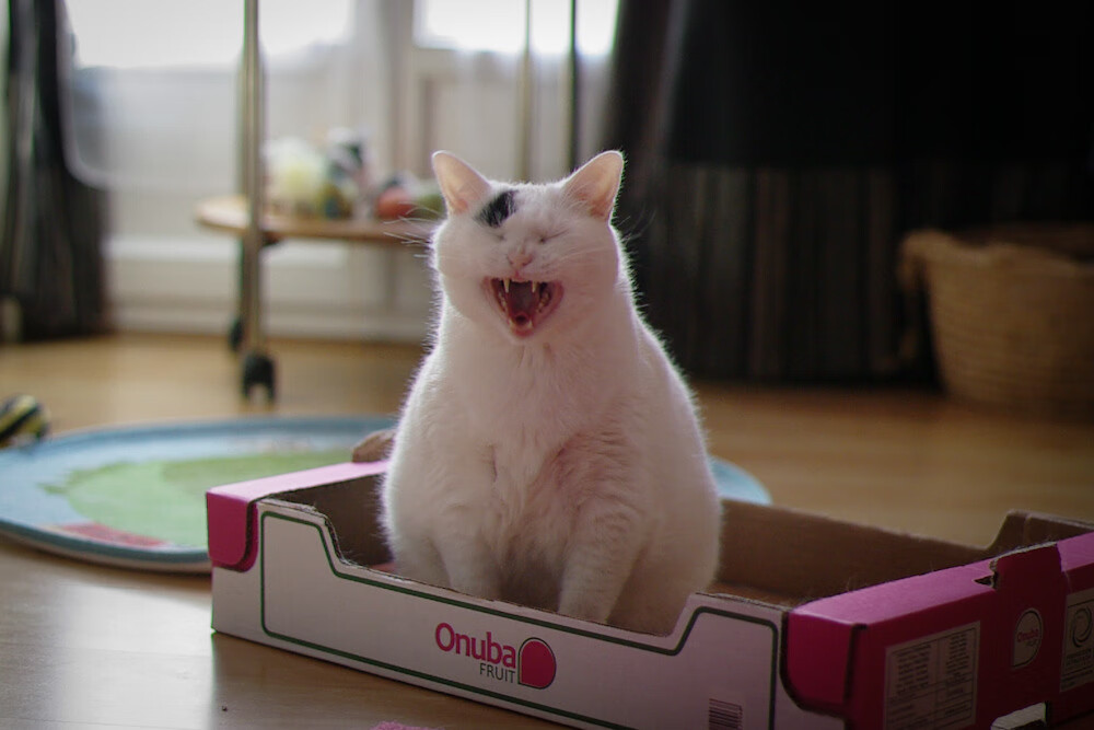 破冰者，奥纳纳抢七夜的攻防神迹