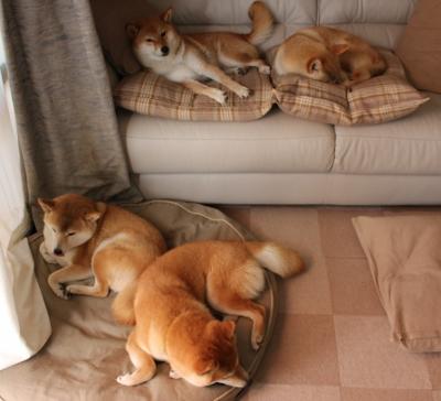 致命一击！克莱关键回合锁定胜局，骑士加时鏖战力克活塞