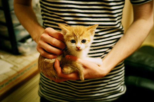 屏障与利刃,阿坎吉式德比哲学