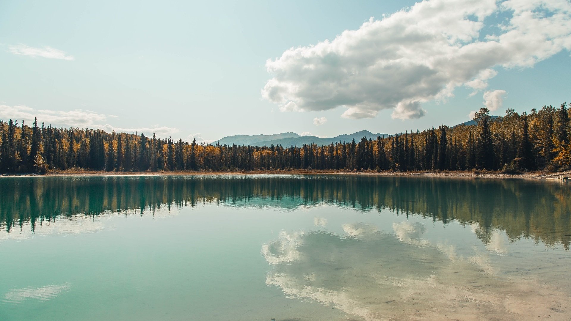 跨越洲际的传奇时刻，哥斯达黎加断悬念，马丁内利定东决