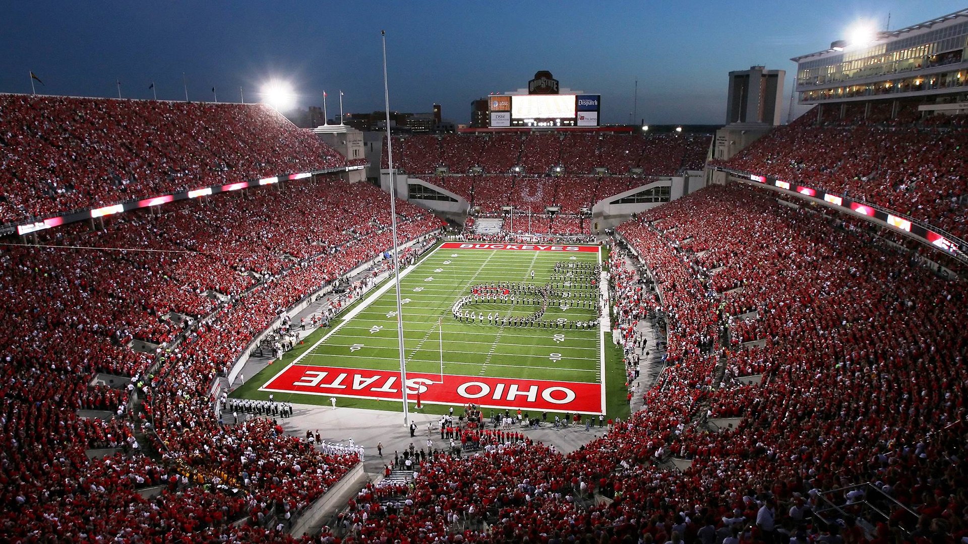 坚毅,刻在基因里的胜利法则