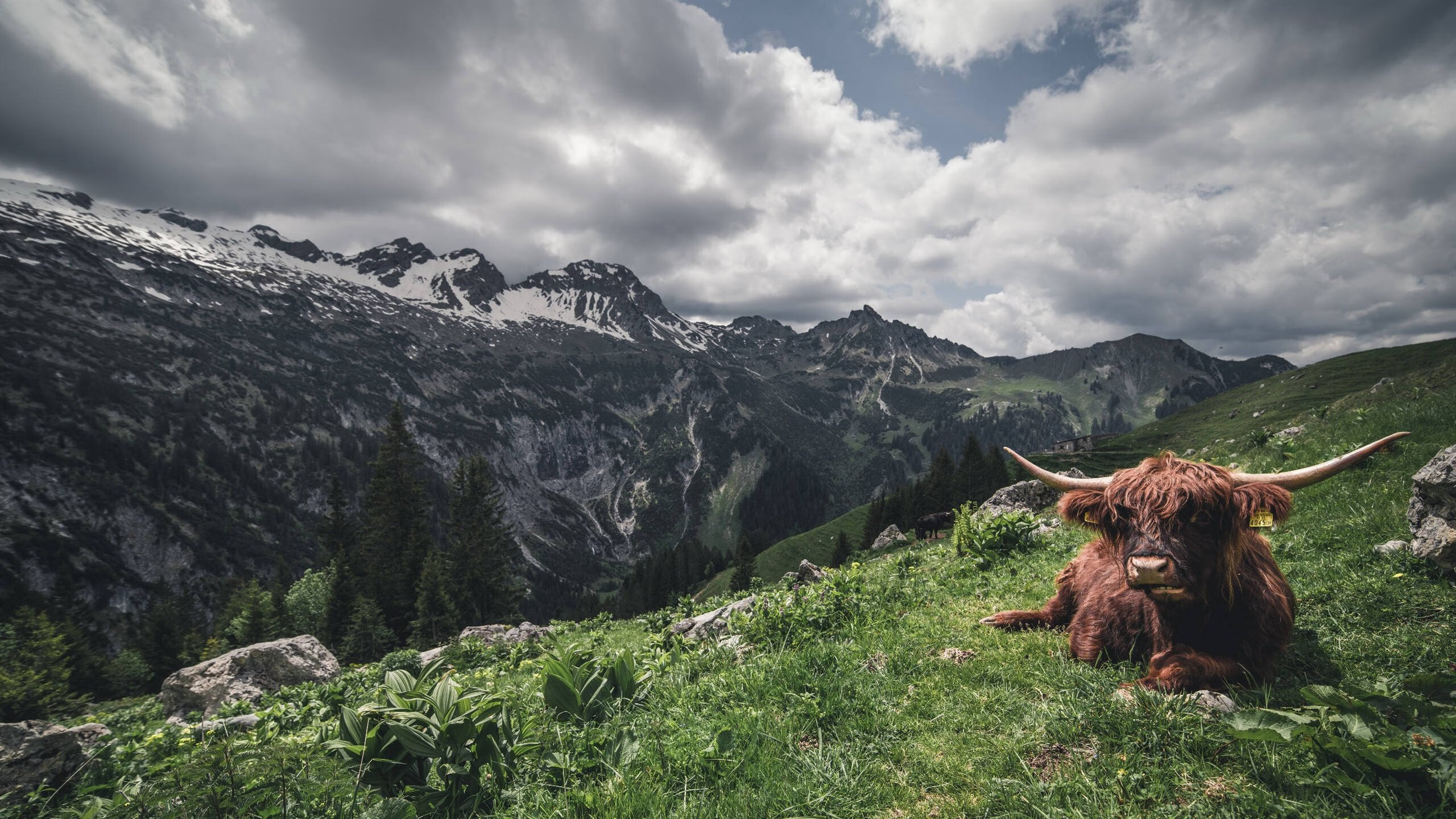 终场哨前的唯一救赎，奥亚尔萨瓦尔与那脚定义巨星价值的绝杀