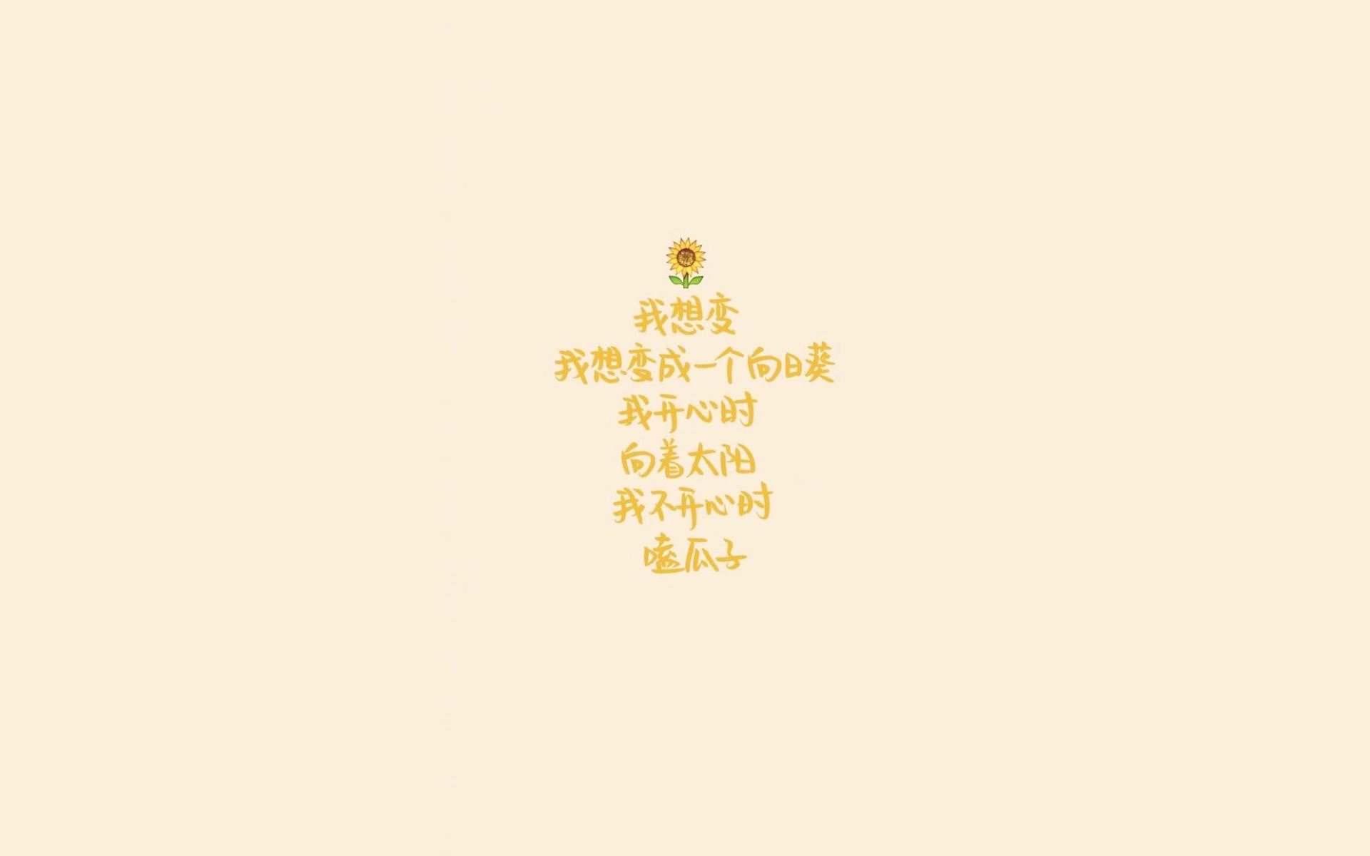 攻守易形,波斯铁幕下的血色黎明—2026世界杯A组关键战,伊朗铁血防线碾碎智利,哈基米书写绿茵新王座