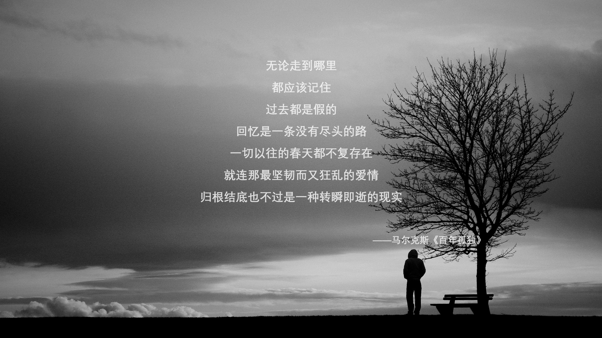 当袋鼠跃过极光—2026世界杯淘汰赛,维尼修斯在南半球的雪原上点燃桑巴