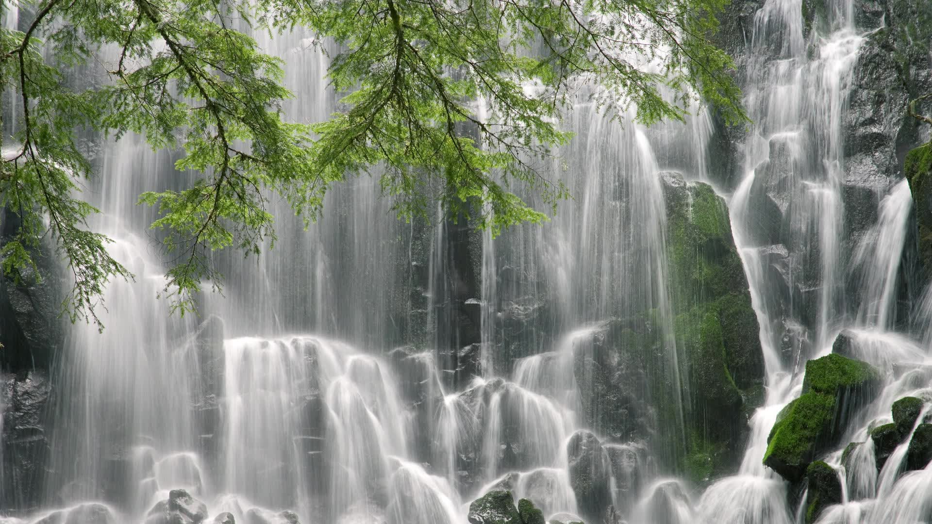 新王的试炼与旧神的黄昏,2026世界杯,C罗的致命一击如何改写了欧洲足球的权力版图